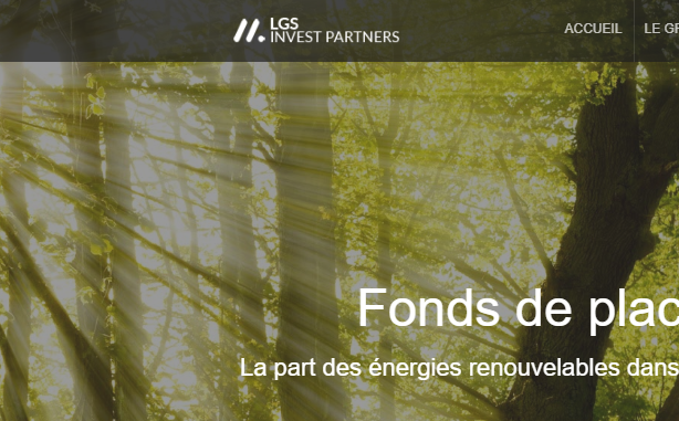 lgsinvestpartners.com
