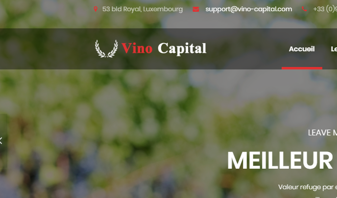 Vino capital