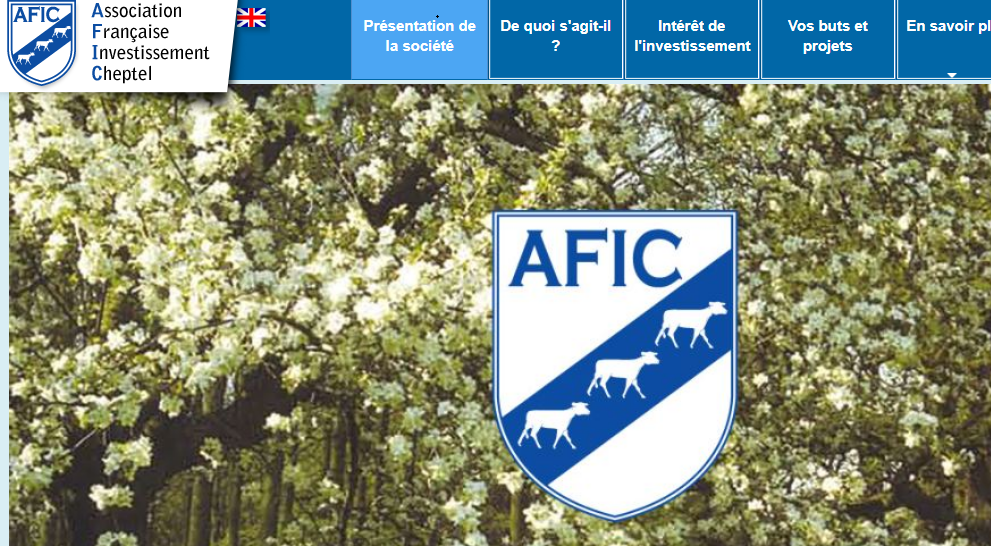 Afic
