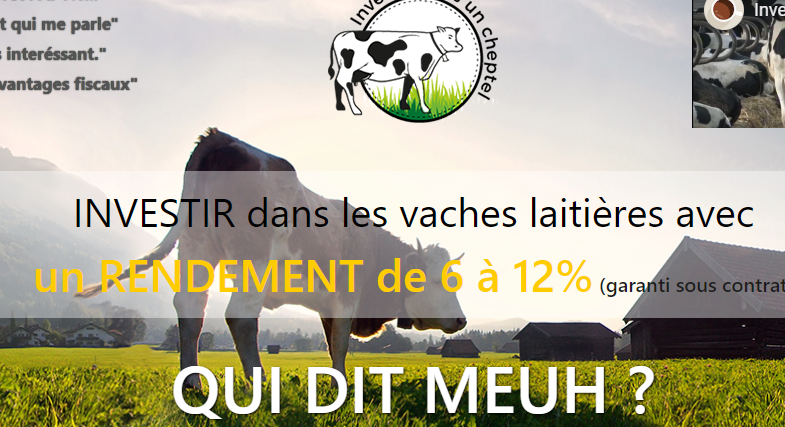Investir cheptel1