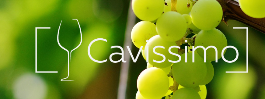 Cavissimo