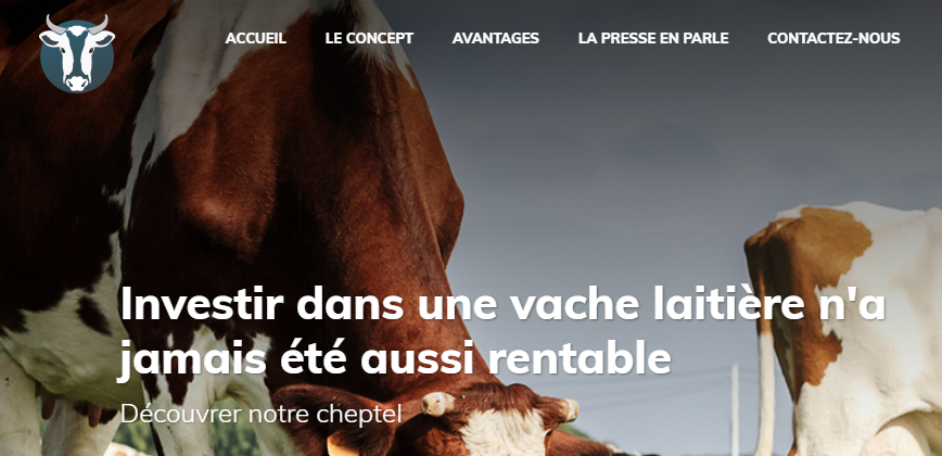 Cheptelpatrimoine
