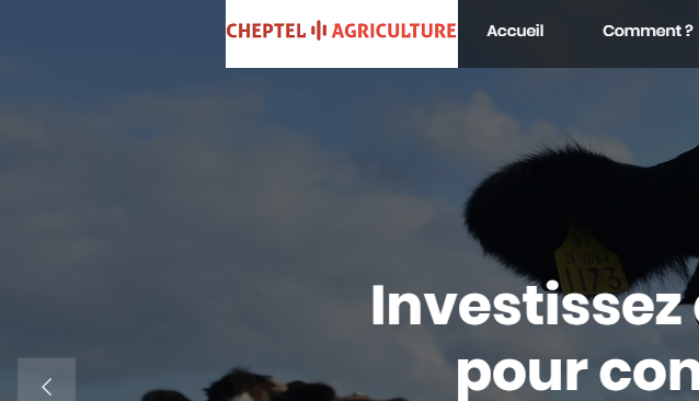 Cheptel agriculture