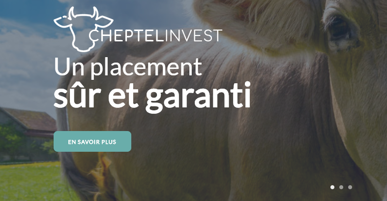 Cheptelinvest