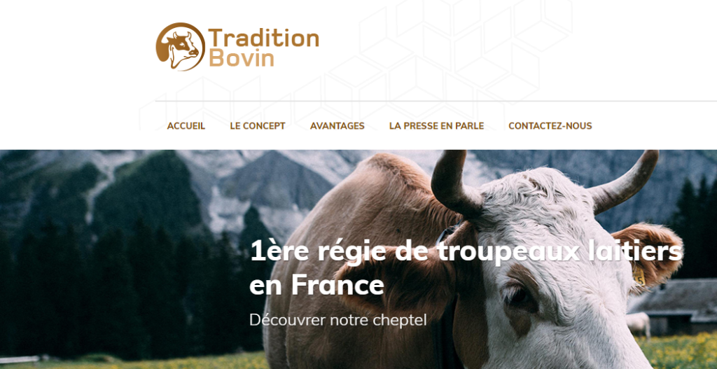 Traditionbovin