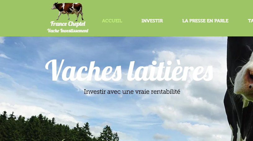 Vacheinvestissement