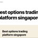 Avis sur Option888.com