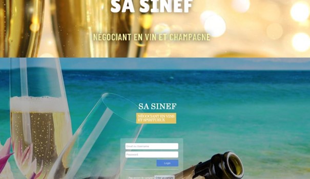 Sa-sinef.com et Sasinef.com : deux sites pour la même arnaque