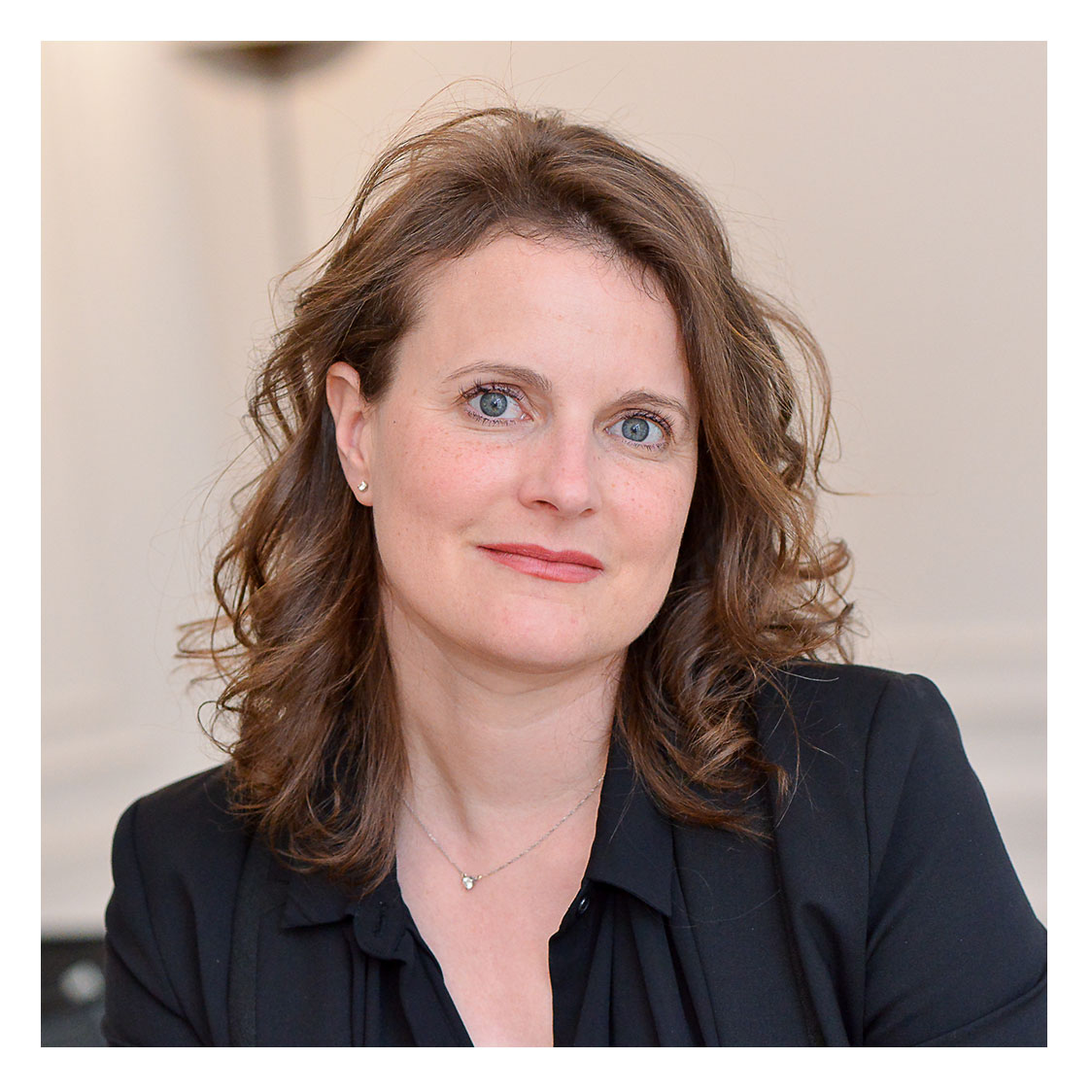 Anne Bernard-Dussaulx - Défense des victimes d'escroquerie : Négociation amiable, procédure pénale et civile