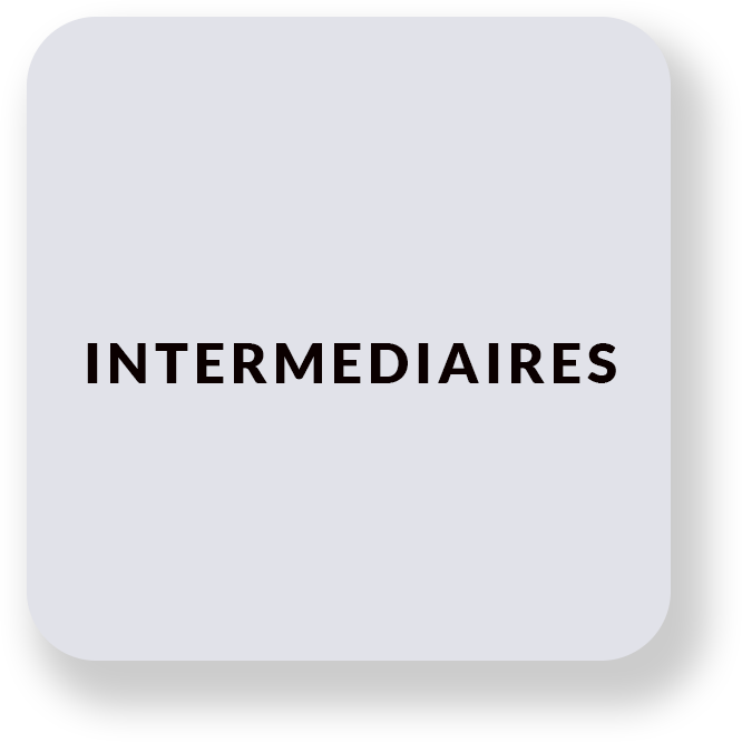 INTERMEDIAIRES copie